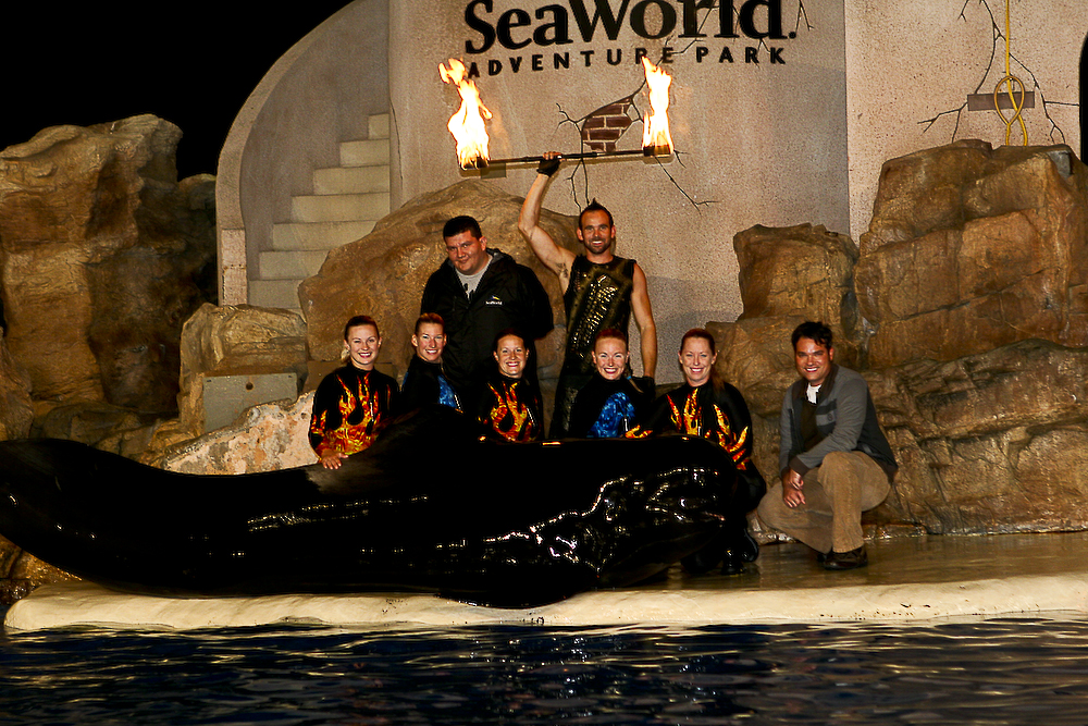 sea world dolphin fire show fire dancing fire performance and fire dance