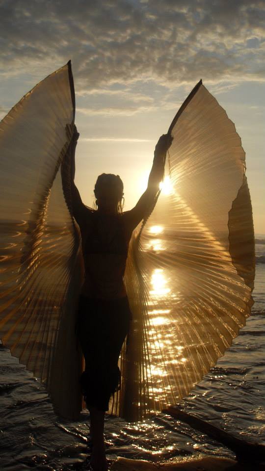 Costumed performers for holiday parties isis wings dancer