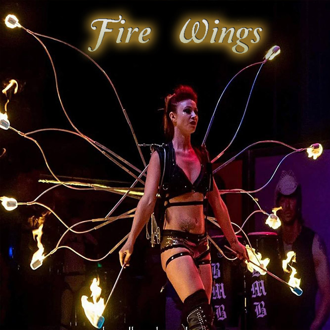 Fire Wing dancer spinner for hire